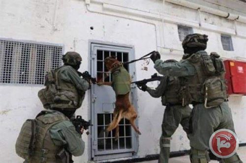 Appliquant les recommandations du Comité Gilad Erdan, les forces israéliennes attaquent la prison d’Ofer et blessent 100 détenus palestiniens